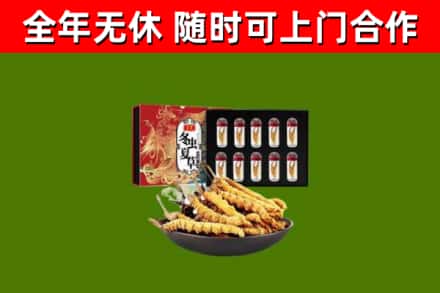 上高回收冬虫夏草价格